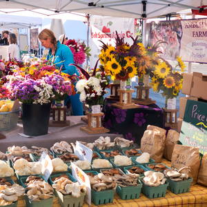Salt Spring Island Market Salt Spring Island Market